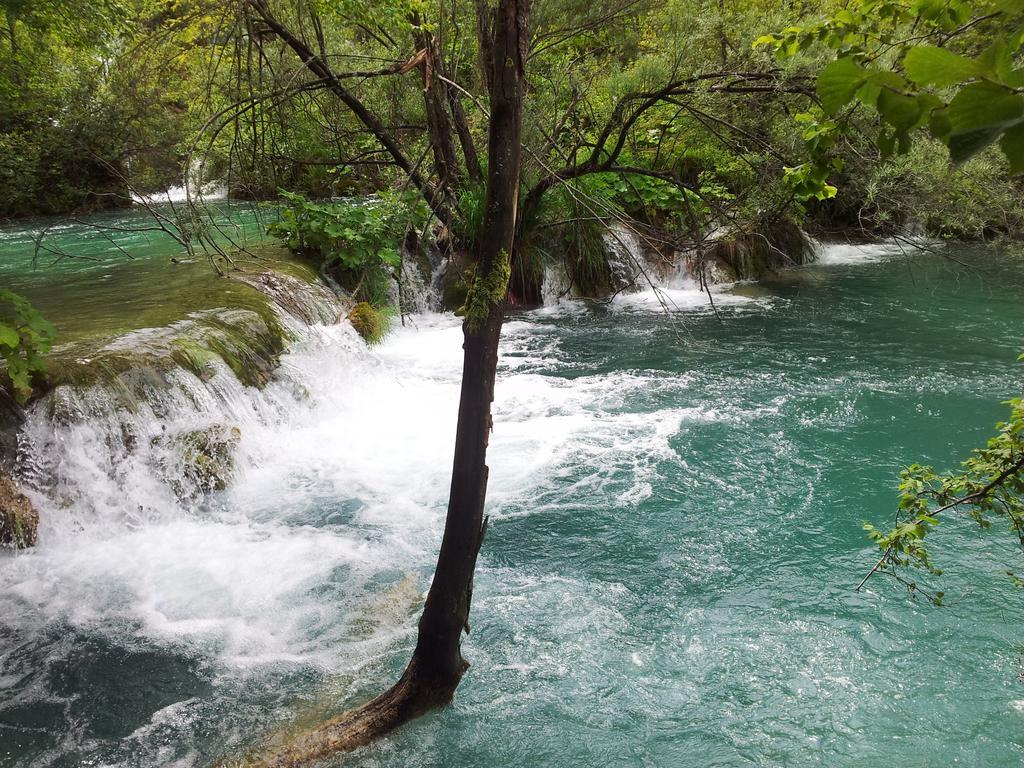 Guest House Family Varda Plitvice Lakes Plitvička Jezera Zewnętrze zdjęcie